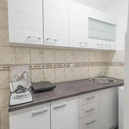 Milion Apartment Banja Koviljaca