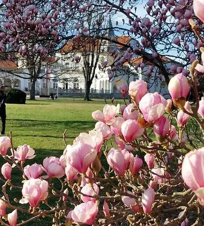 Appartement Milion Banja Koviljača
