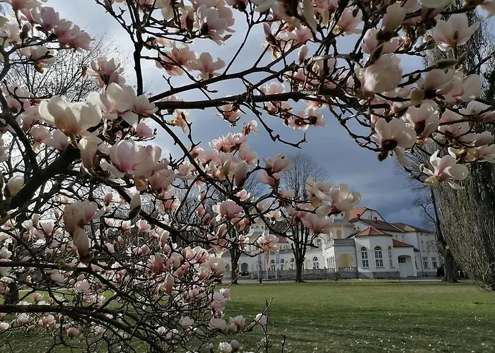 Milion アパート Banja Koviljača