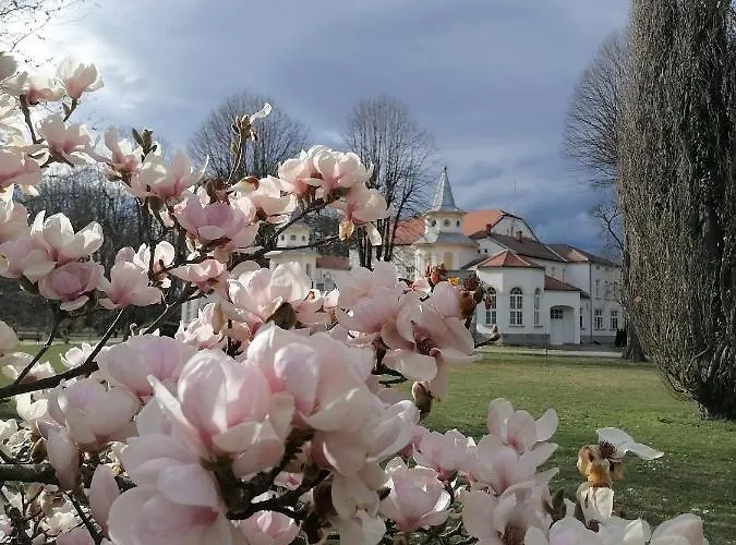 Milion * Banja Koviljača