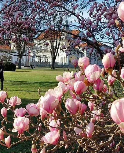 アパート Milion Banja Koviljača